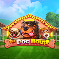 The Dog House-PRAGMATIC